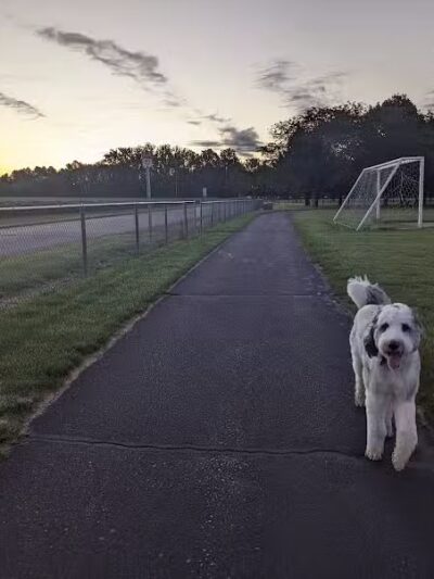 Richland Township Park - Hemlock, MI