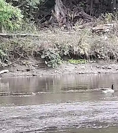 Henderson Park - Henderson,