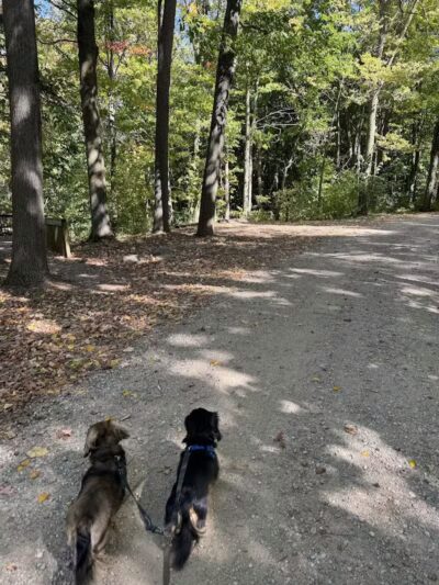 Henderson Park - Henderson,