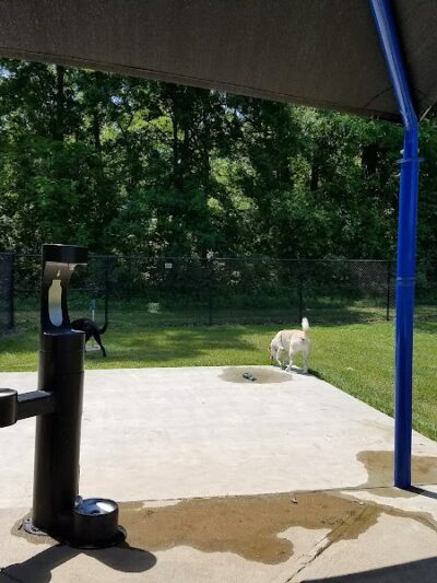 All Bark Village - Herculaneum, MO