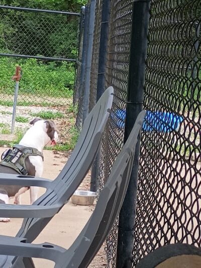 Herculaneum Dog Park - Herculaneum, MO