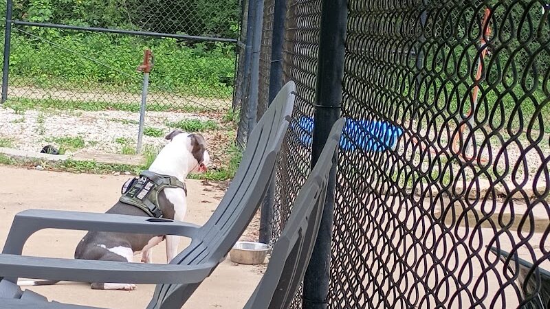Herculaneum Dog Park - Herculaneum, MO