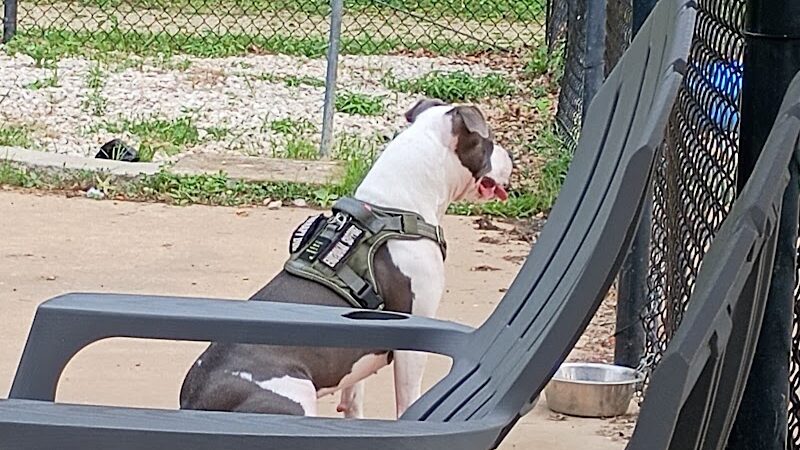 Herculaneum Dog Park - Herculaneum, MO