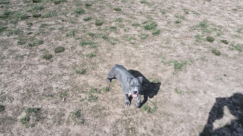 Herculaneum Dog Park - Herculaneum, MO