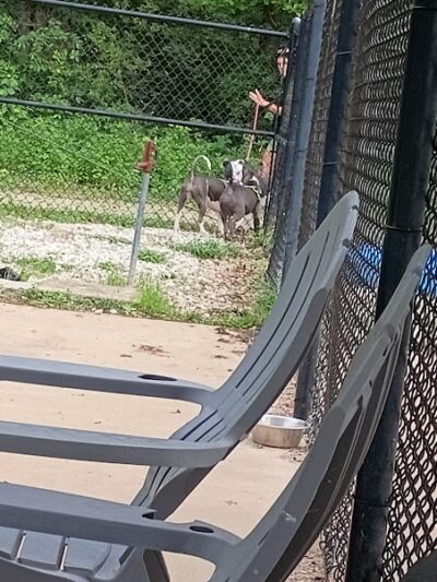 Herculaneum Dog Park - Herculaneum, MO