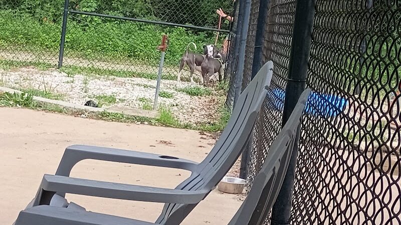 Herculaneum Dog Park - Herculaneum, MO