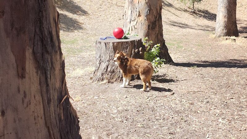 Dog park - Hercules, CA