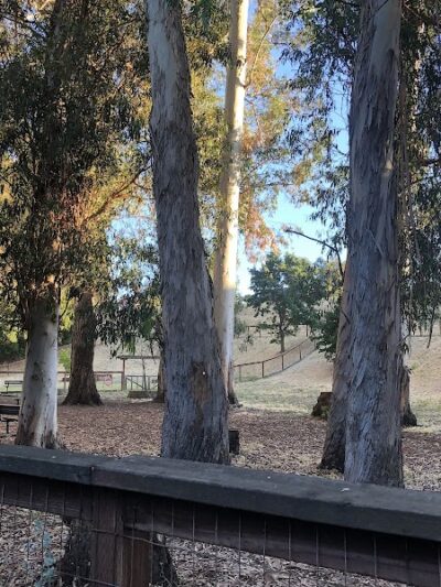 Dog park - Hercules, CA