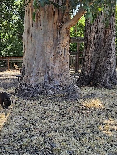 Ohlone Park - Hercules, CA