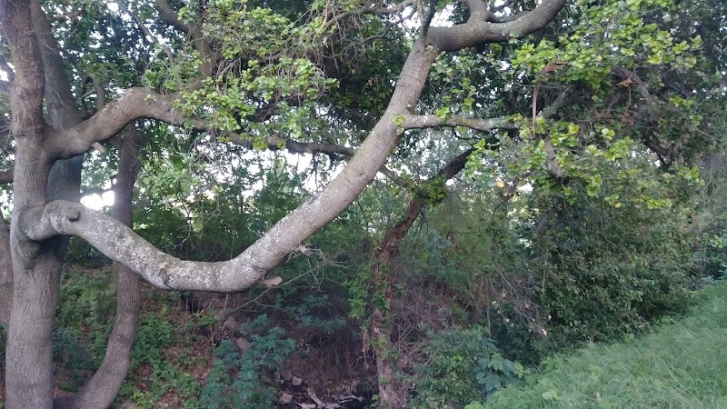 Ohlone Park - Hercules, CA