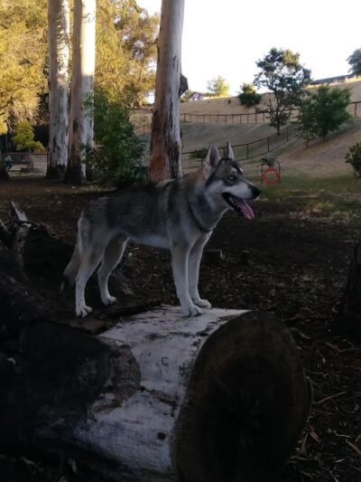 Ohlone Park - Hercules, CA