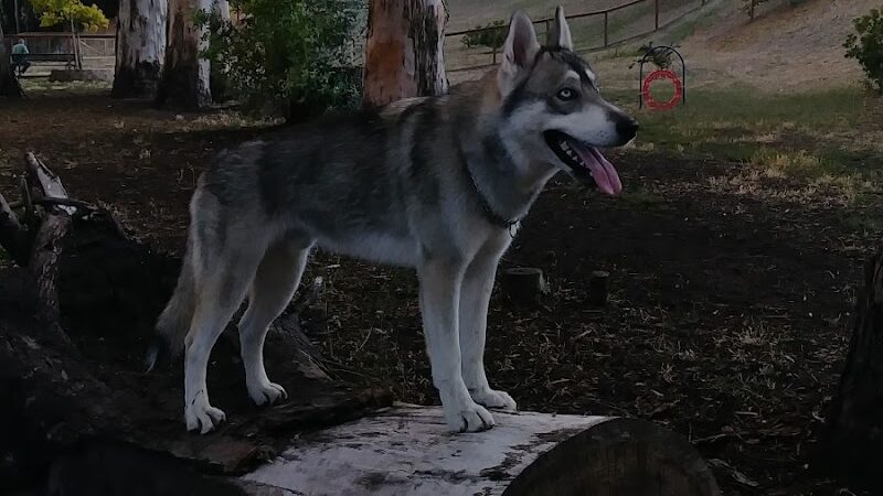 Ohlone Park - Hercules, CA