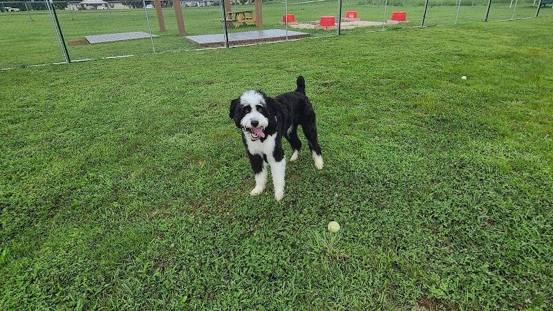 Hermann Dog Park - Hermann, MO