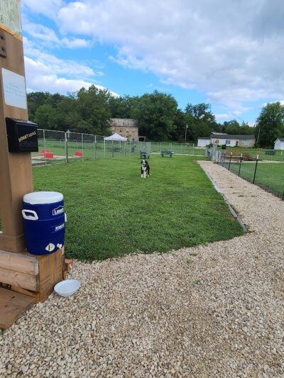 Hermann Dog Park - Hermann, MO