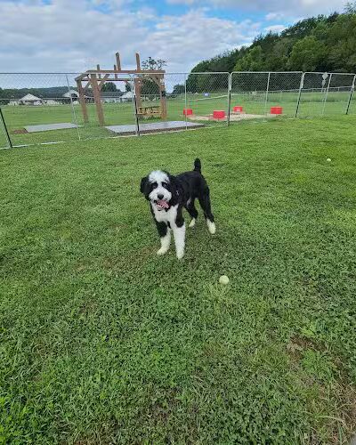 Hermann Dog Park - Hermann, MO