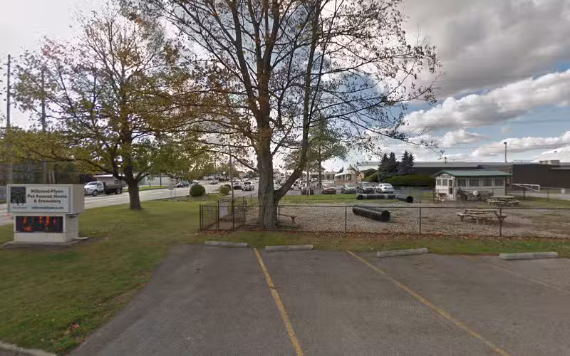 Hillcrest Dog Park & Wellness Center - Hermitage, PA