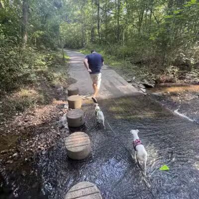 Sugarland Run Stream Valley Trail - Herndon, VA