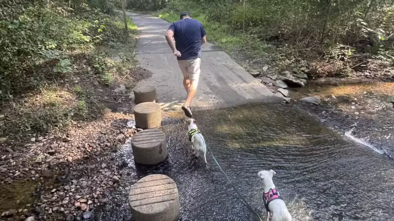 Sugarland Run Stream Valley Trail - Herndon, VA