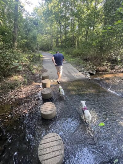 Sugarland Run Stream Valley Trail - Herndon, VA