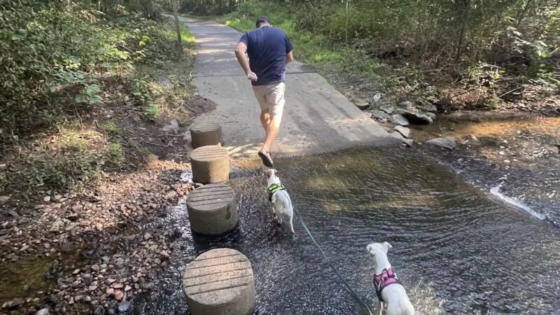 Sugarland Run Stream Valley Trail - Herndon, VA