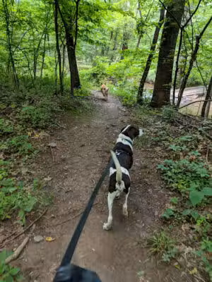 Folly Lick Park - Herndon, VA