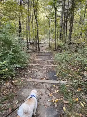 Runnymede Park - Herndon, VA