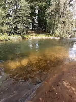 Mosaic Park - Hersey,