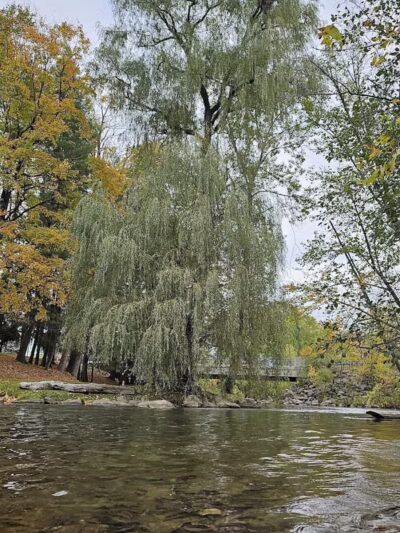 Mosaic Park - Hersey,