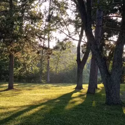 Mosaic Park - Hersey,