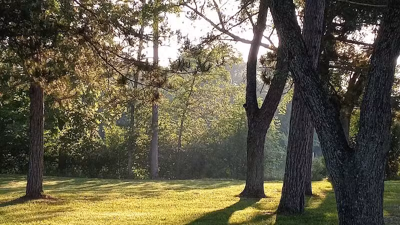 Mosaic Park - Hersey,