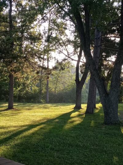 Mosaic Park - Hersey,