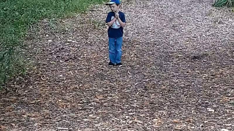 Mosaic Park - Hersey,