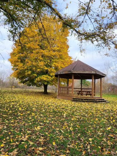 Mosaic Park - Hersey,