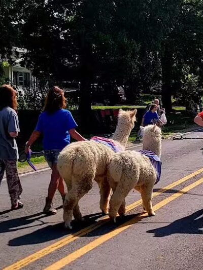 Cadwallader Park - Hickory Corners,