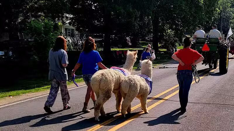 Cadwallader Park - Hickory Corners,