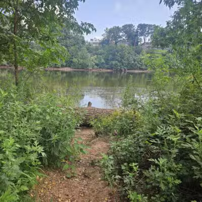 Donaldson Dog Park - Highland Park, NJ