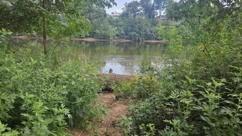 Donaldson Dog Park - Highland Park, NJ