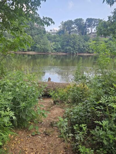 Donaldson Dog Park - Highland Park, NJ