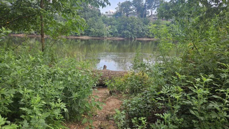 Donaldson Dog Park - Highland Park, NJ