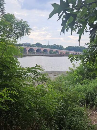 Donaldson Dog Park - Highland Park, NJ