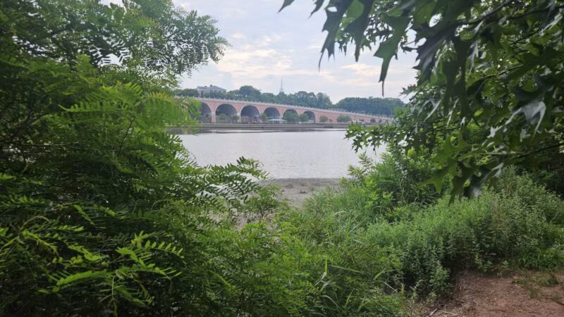 Donaldson Dog Park - Highland Park, NJ