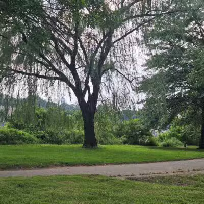 Donaldson Dog Park - Highland Park, NJ