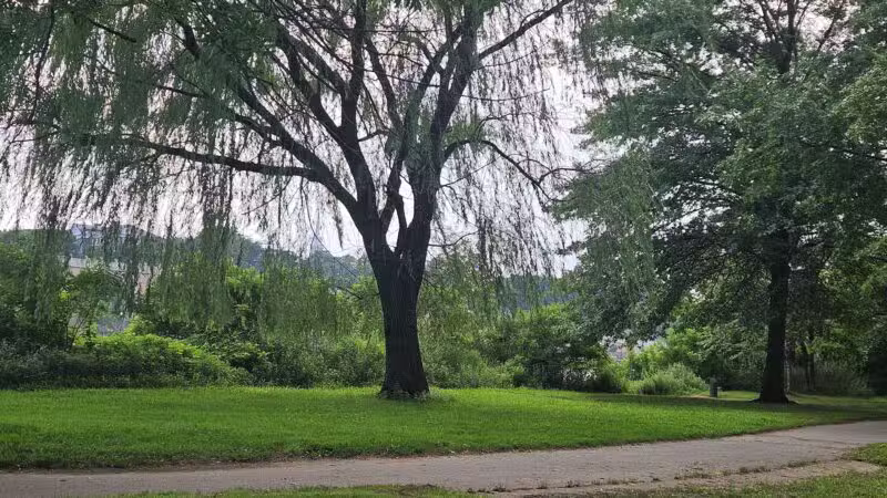Donaldson Dog Park - Highland Park, NJ