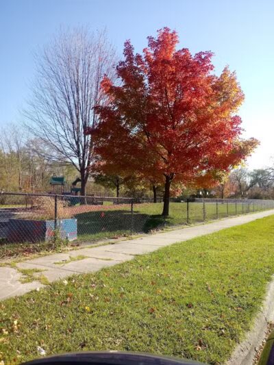 Hawthorne Playground - Highland Park,