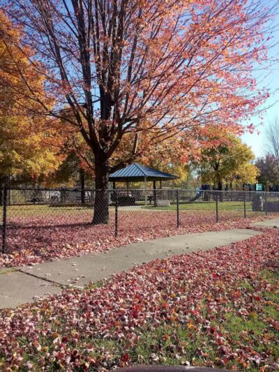 Hawthorne Playground - Highland Park,