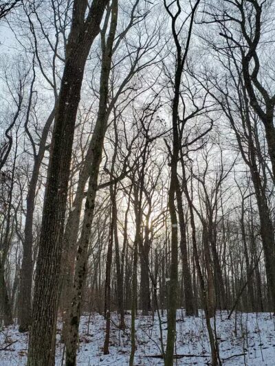 Barn Course Field Trial Grounds - Highland Township, MI
