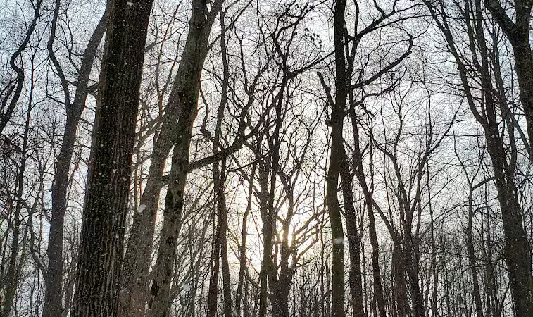 Barn Course Field Trial Grounds - Highland Township, MI