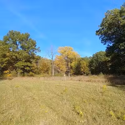 Barn Course Field Trial Grounds - Highland Township, MI