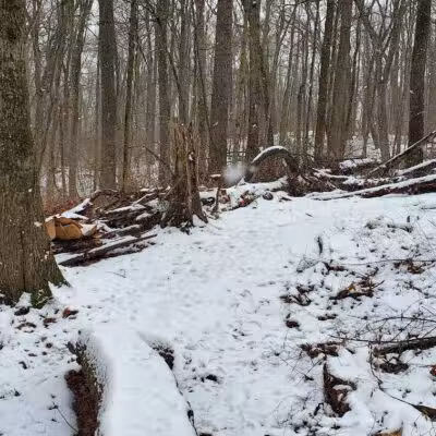 Barn Course Field Trial Grounds - Highland Township, MI