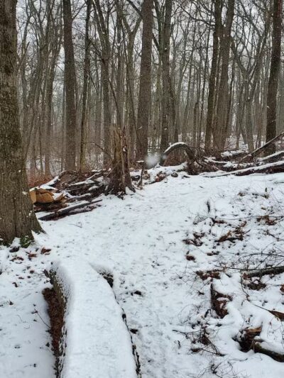 Barn Course Field Trial Grounds - Highland Township, MI